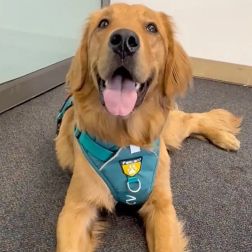 imagen Mezcal en lQUI